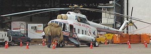 Jagson Mi-172
